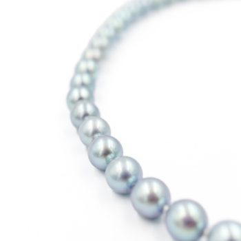 Blue Akoya Pearl strand