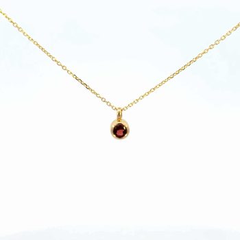 January Birthstone Necklace