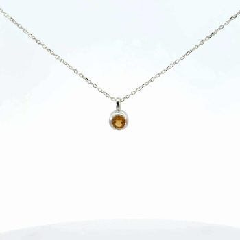 November Birthstone Necklace