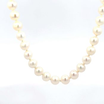 Freshwater pearl strand